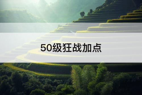 50级狂战加点