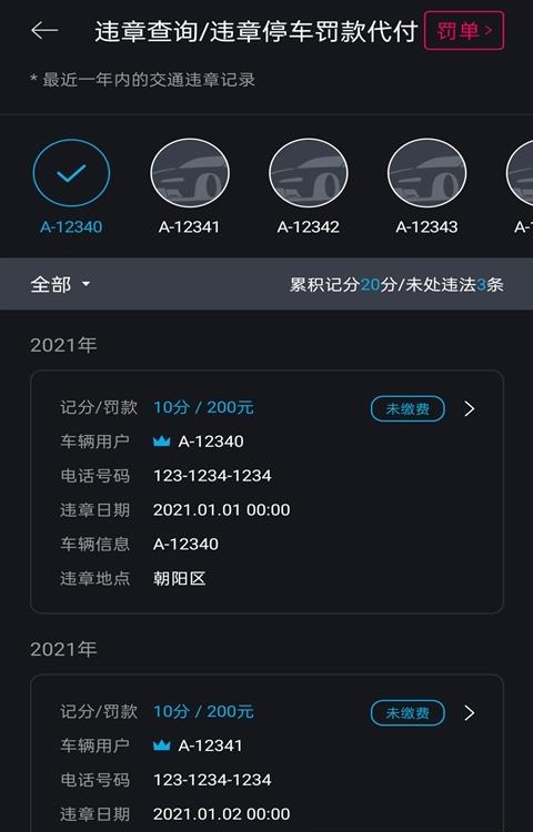 blueLink  v3.04图3