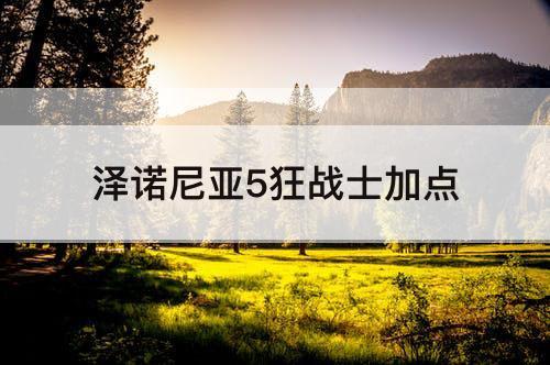 泽诺尼亚5狂战士加点