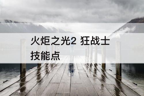 火炬之光2 狂战士 技能点
