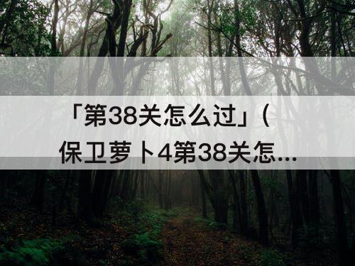 「第38关怎么过」(保卫萝卜4第38关怎么过视频教程)