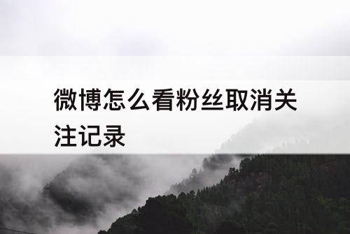 微博怎么看粉丝取消关注记录