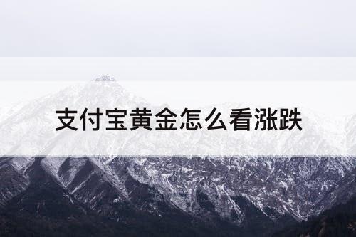 支付宝黄金怎么看涨跌