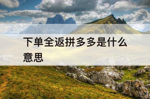 下单全返拼多多是什么意思