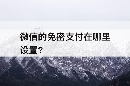 微信的免密支付在哪里设置?