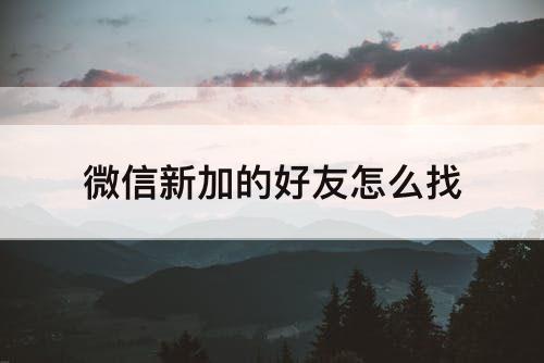 微信新加的好友怎么找
