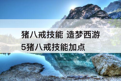 猪八戒技能 造梦西游5猪八戒技能加点