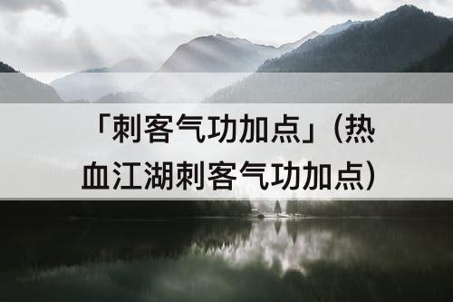 「刺客气功加点」(热血江湖刺客气功加点)