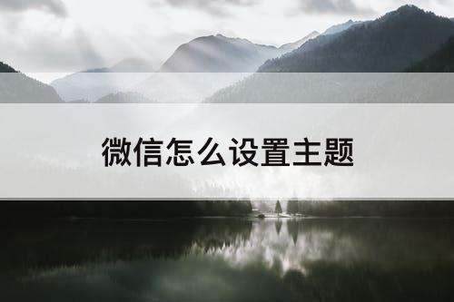 微信怎么设置主题