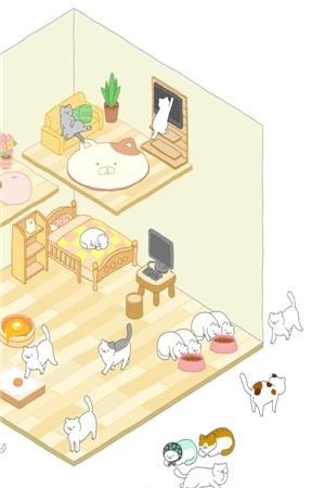 猫咪很可爱