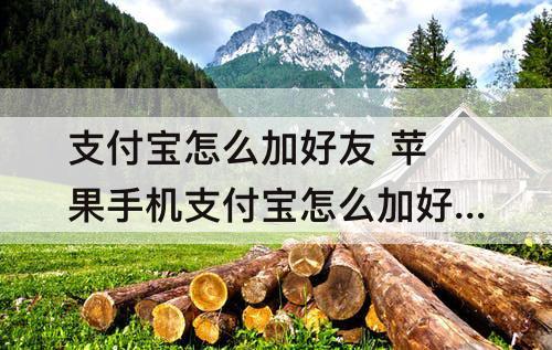 支付宝怎么加好友 苹果手机支付宝怎么加好友