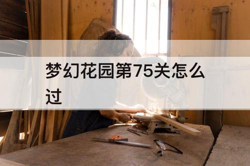 梦幻花园第75关怎么过
