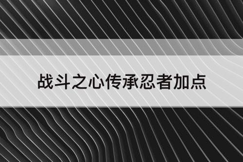 战斗之心传承忍者加点