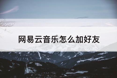 网易云音乐怎么加好友