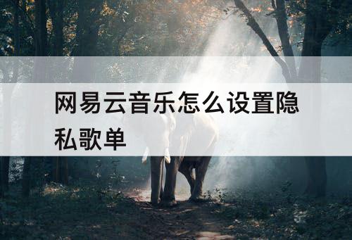 网易云音乐怎么设置隐私歌单