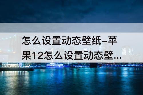 怎么设置动态壁纸-苹果12怎么设置动态壁纸不用按就播放