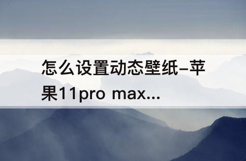 怎么设置动态壁纸-苹果11pro max怎么设置动态壁纸