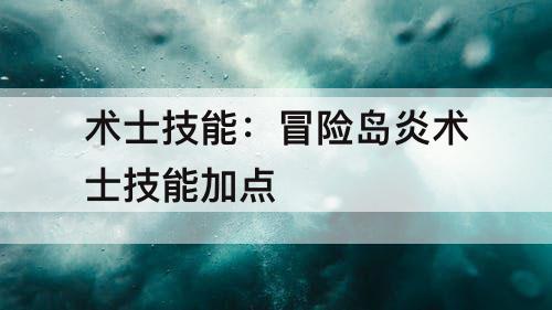 术士技能：冒险岛炎术士技能加点