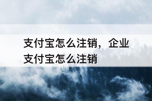 支付宝怎么注销，企业支付宝怎么注销