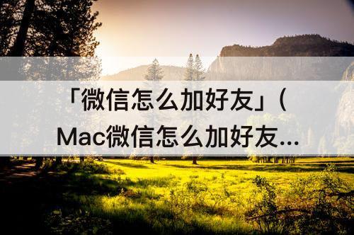 「微信怎么加好友」(Mac微信怎么加好友)
