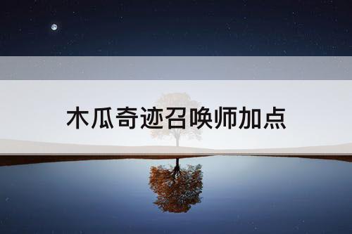 木瓜奇迹召唤师加点