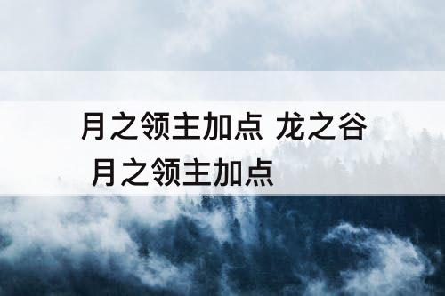 月之领主加点 龙之谷 月之领主加点
