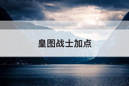 皇图战士加点