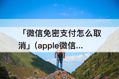 「微信免密支付怎么取消」(apple微信免密支付怎么取消家人共享)