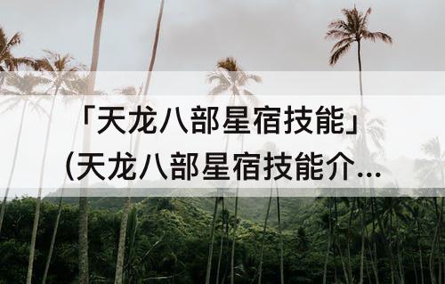 「天龙八部星宿技能」(天龙八部星宿技能介绍)