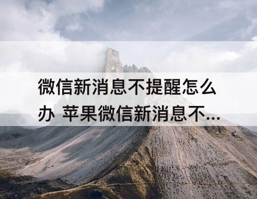 微信新消息不提醒怎么办 苹果微信新消息不提醒怎么办