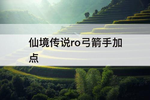 仙境传说ro弓箭手加点