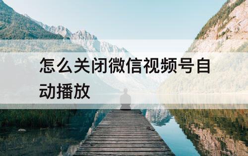 怎么关闭微信视频号自动播放
