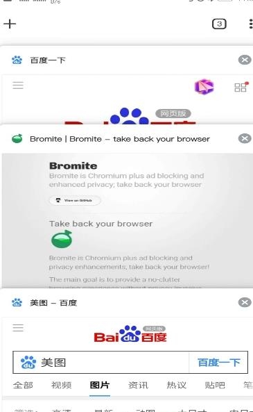 Bromite浏览器  v75.0.3770.109图2