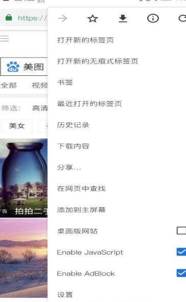 Bromite浏览器  v75.0.3770.109图3