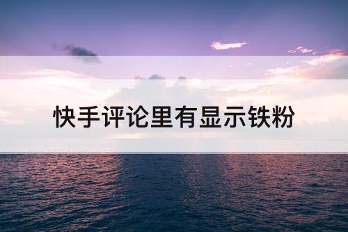 快手评论里有显示铁粉