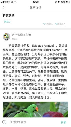 鸟圈