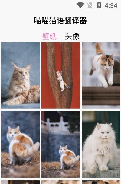 喵喵猫语翻译器  v1.0图2