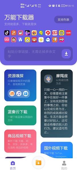 万能下载器安卓版  v1.1图3