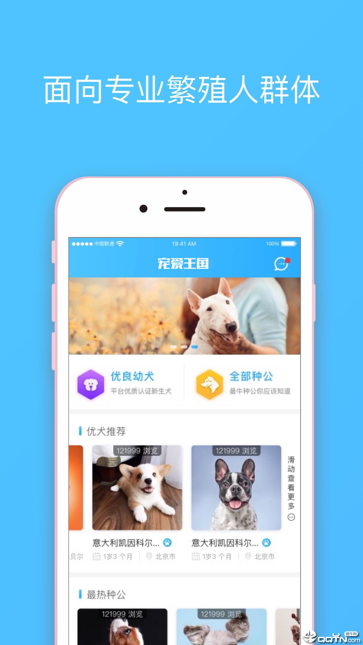 宠爱王国  v3.4.0图1