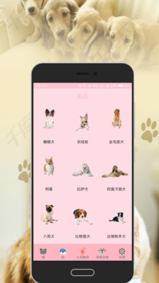 狗语猫语翻译器  v3.2.1图3