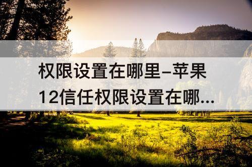 权限设置在哪里-苹果12信任权限设置在哪里