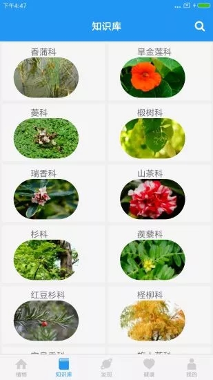 燕雀草  v2.0.1图3