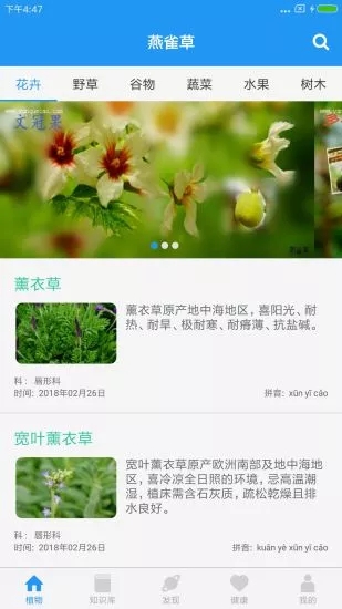 燕雀草  v2.0.1图4