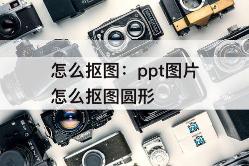 怎么抠图：ppt图片怎么抠图圆形