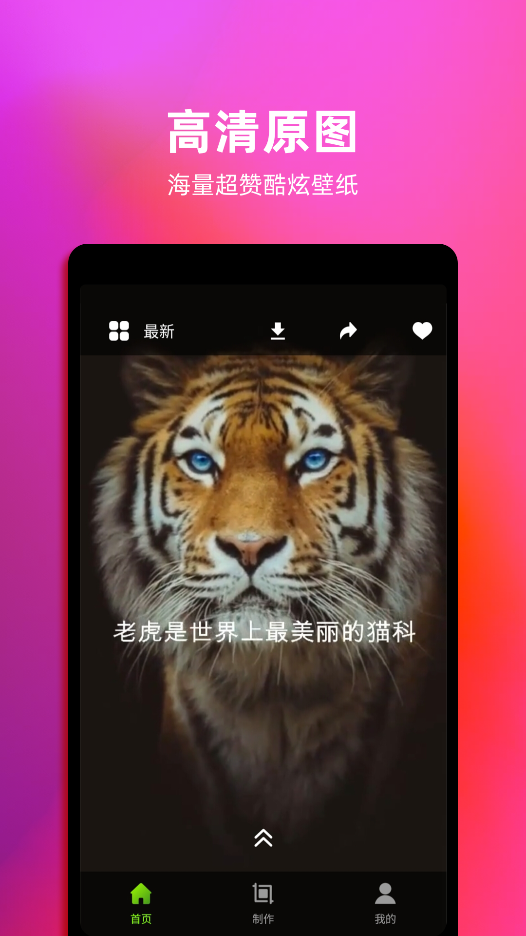 Live动态壁纸  v1.2图3