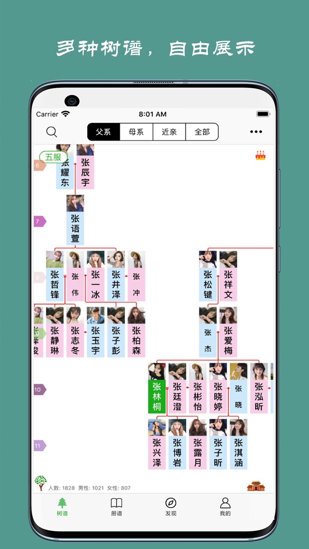 族记家谱  v6.8.1图1