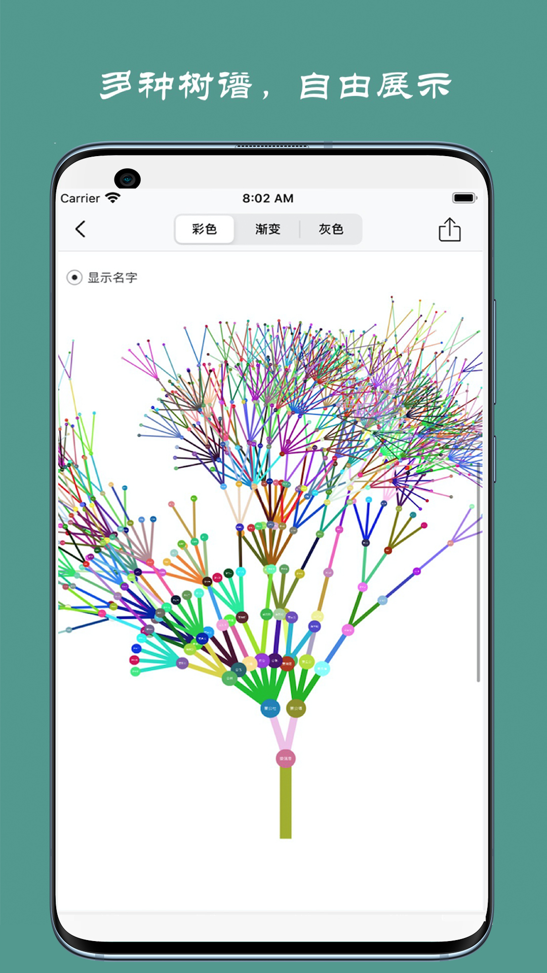 族记家谱  v6.8.1图3