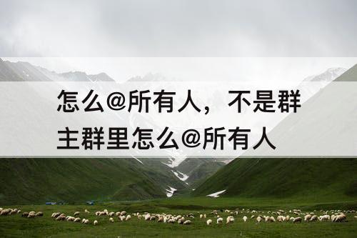 怎么@所有人，不是群主群里怎么@所有人
