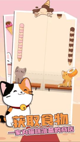 猫咪二重奏