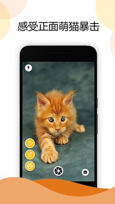 猫咪相机  v13.0图1